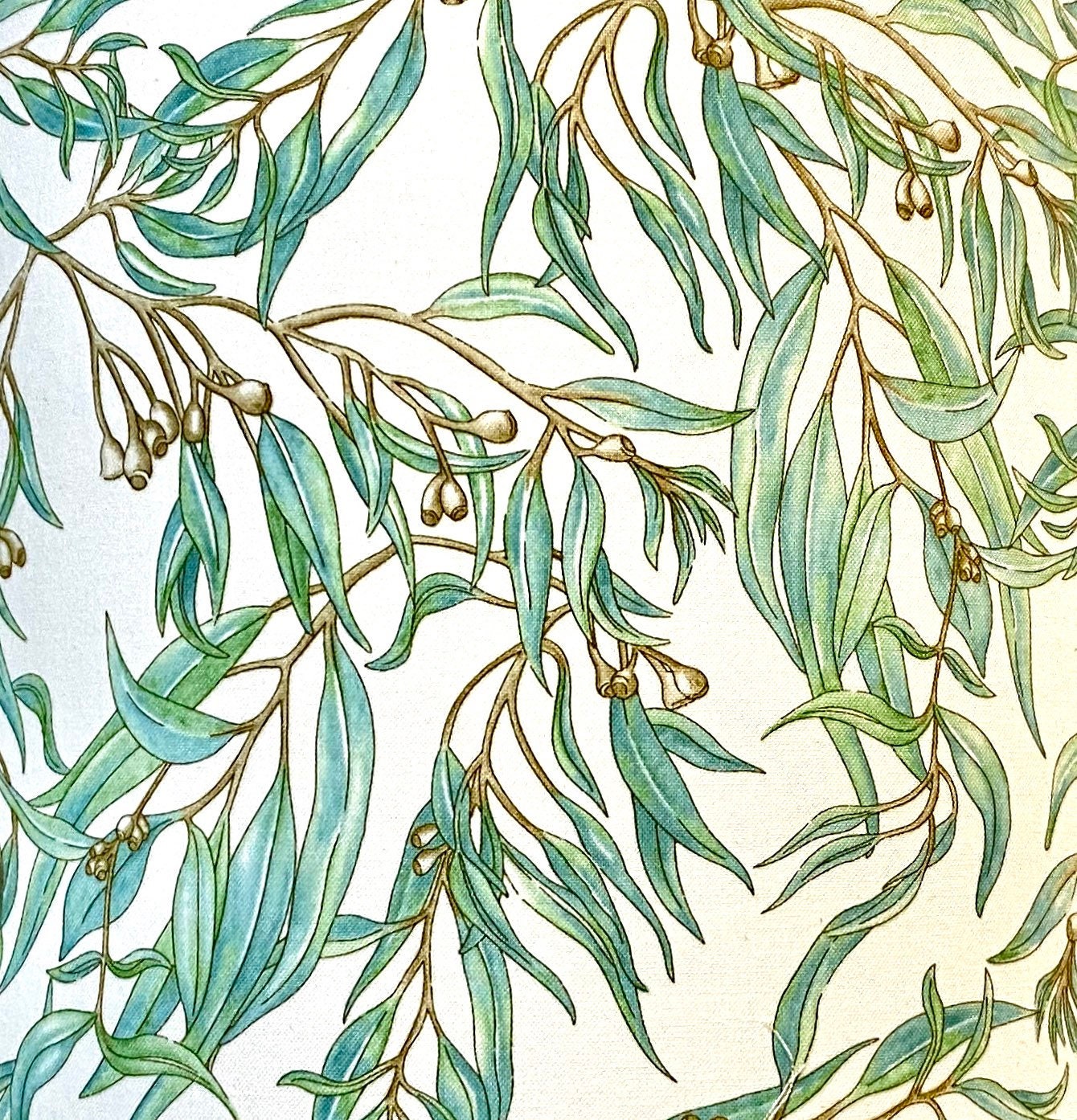 Eucalyptus lampshade | Australiana light shade | image 4